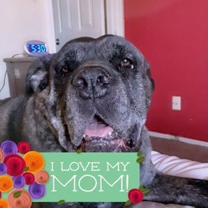 Meet your Posher, Vickie